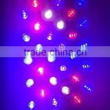 300W LED Growing Light Plant and Bloom Growing Light thumbnail-5