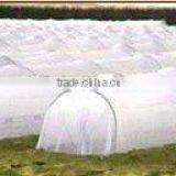 SBPP+UV CROP COVER thumbnail-1