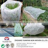 PP Spun Bonded Non Woven Agriculture Fabric for Plant Cover thumbnail-3