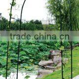 Metal Outdoor Arch thumbnail-1