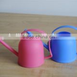 cute watering can for flower