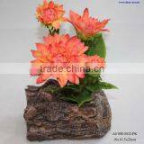 Four Heads Dahlia Potted thumbnail-1