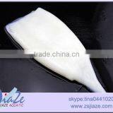 Frozen Squid Tube- Todarodes Pacificus thumbnail-2