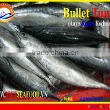 FROZEN W/R BULLET TUNA thumbnail-1