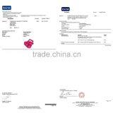 Plastic Snowball Maker for 5pcs One Time,high Compact Material Ultimate Snowball Machine,no-freezing Hands thumbnail-4