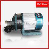 1000W Big Motor for Electric Easy Bike Electric Cargo