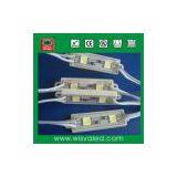 2leds Waterproof Smd Led Module