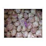 Healthy Pure White Garlic 500g * 20 Bags / Carton , 250g * 40 Bags thumbnail-1