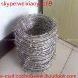 Weight Barbed Wire /Best Price High Quality Barbed Wire/Galvanized Barbed Wire (High Tensile Strength) thumbnail-1