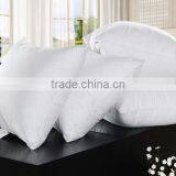 Hot Selling Soft Cheapest Square Insert Pillow thumbnail-4