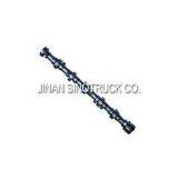 High Quality Howo Parts CAMSHAFT 61500050096