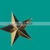 Custom Souvenir Plastic Star Trophy With Gold Plating thumbnail-5