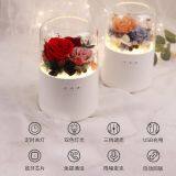 Dandelion Music Box thumbnail-3