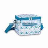 Buckle cooler bag with 100% polyester webbing for handle
