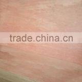 Building Materials 10mm 18mm Film Faced Plywood Sheet thumbnail-4