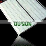 2012 Haining The Newest PVC Gypsum Ceiling Board