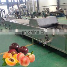 Natural Cherry Numatic Fruit Juice Hot Filling Machines Production Line