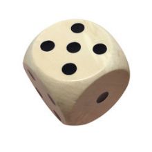 Number and Letter Wooden Custom Dice Set