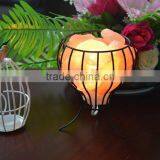 Himalayan Natural Rock Salt Lamp With Iron Art Base thumbnail-2
