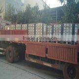 Security Nut for Transmission Steel Tower Multilateral and High-speed Way With Spring & Ball Anti-theft Nut thumbnail-6