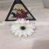 Fresh Cut Flower Of Stem 45-60 cm Gerbera Popular Wholesale thumbnail-2