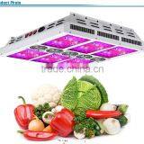 Shenzhen Factory Wholesale High Quality Grow Light Led for Indoor Plant Grow thumbnail-1