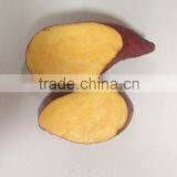 Sweet Potato Fresh Harvest Good Taste Sweet Potato thumbnail-2