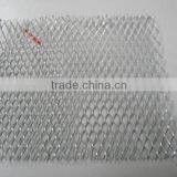 Expanded Metal With High Quality(SW-081R)