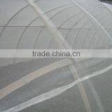 Anti Insect Net for Greenhouse