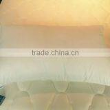 High Quality Pillow Cover/pillow