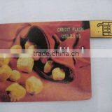 OEM Hot Sell Credit Card Usb Driver