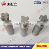 Customized Carbide Tool Parts to European Market