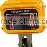 Electronic weighing crane scale