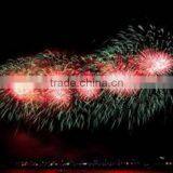 New Style Stylish Fireworks Shipping to Gdansk thumbnail-2