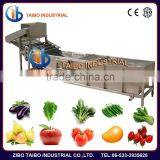 Fruit Processing Machinery Washer Type Strawberries Washing Machine