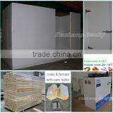 ISO Certification Movable Cold Storage for Food With Polyurethane Sandwich Panels