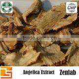 Natural Angelica Root Sinensis Powder for Hypotensive thumbnail-4