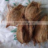 Good Quality Fully Husked Dry Coconut for Sell thumbnail-1