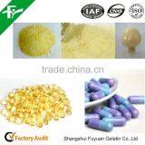 GELATIN - 220 BLOOM /30 MESH