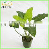Indoor Home Decorative Artificial Bonsai Tree