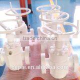 Gate Valve/Slab Gate Valve/FC Gate Valve/FLS Gate Valve/API6A Valve thumbnail-4