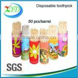 Birch Wooden Toothpicks Packed in Plastick Pot Plastick Picks thumbnail-1