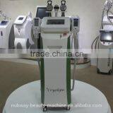 Advanced Lipo Freeze Coolshape Fat Freezing Machine for Sale thumbnail-2