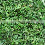 High Quality Moringa Dried Leaves Moringa Oleifera Leaf Powder