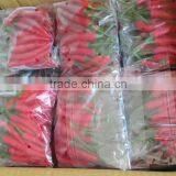 Red Chilli Available... thumbnail-5