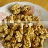 walnut kernels exporter in China