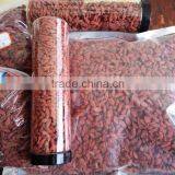 Qingdao Sunfine Co., Ltd. company overview - view 4 thumbnail