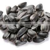 Organic Sunflower Seeds 5009 Sunflower Seeds White Sunflower Seeds thumbnail-3