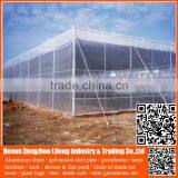 Top Selling 20/30/40/50 Mesh Hdpe Plastic Agriculture Greenhouse Vegetable and Fruit Anti-insect Net , Nylon Insect Net thumbnail-5