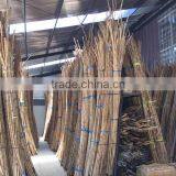 MANAU CANE RATTAN thumbnail-1